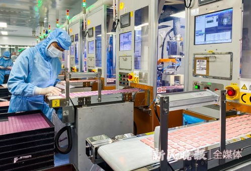 上過太空的酵母,定制口紅的機(jī)器人,到第八屆上交會體驗美妝科技