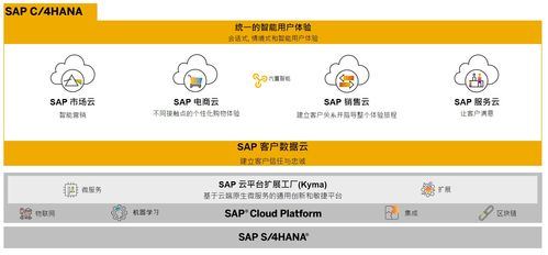 SAP商務(wù)云產(chǎn)品自學(xué)指南 電商云、銷售云與營銷云業(yè)務(wù)知識(shí)入門